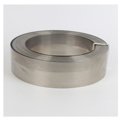 Raschietto in Acciaio Inox Stampe Cicogna Raschietto in Acciaio Inox per Vaglio Rotante